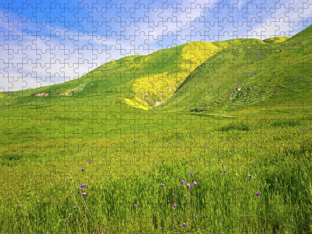 Wind Wolves Jigsaw Puzzle featuring the photograph Spring's Gold by Lynn Bauer