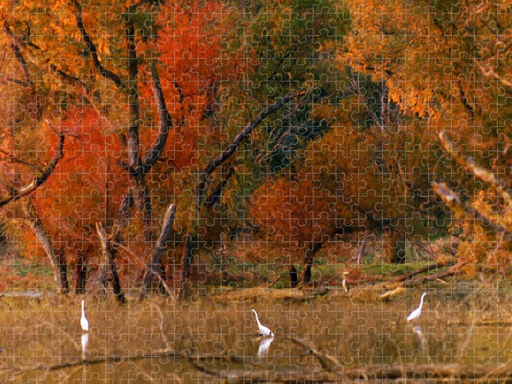 Landscape Jigsaw Puzzle featuring the photograph Squaw Creek Egrets by Steve Karol