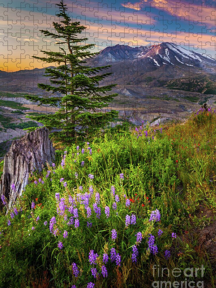 America Jigsaw Puzzle featuring the photograph St Helens Caldera by Inge Johnsson