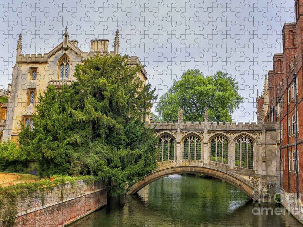 Academia Jigsaw Puzzle featuring the photograph St Johns college and the Bridge of sighs in Cambridge university by Patricia Hofmeester