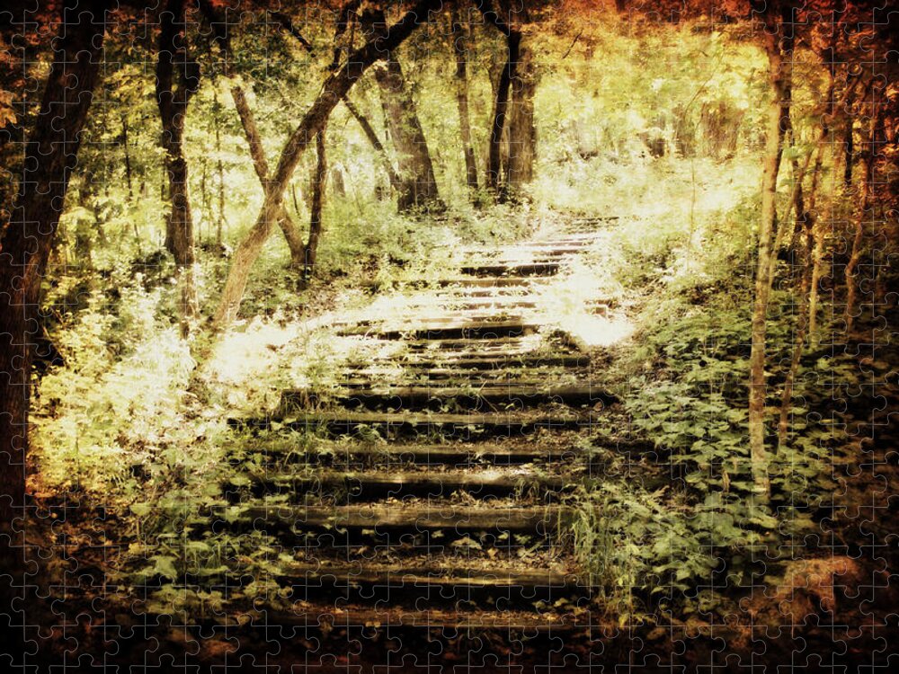 Path Jigsaw Puzzle featuring the photograph Stairway to Heaven by Julie Hamilton