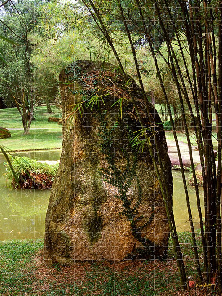 Standing Stone Jigsaw Puzzle featuring the photograph Standing Stone with Fern and Bamboo 19A by Gerry Gantt