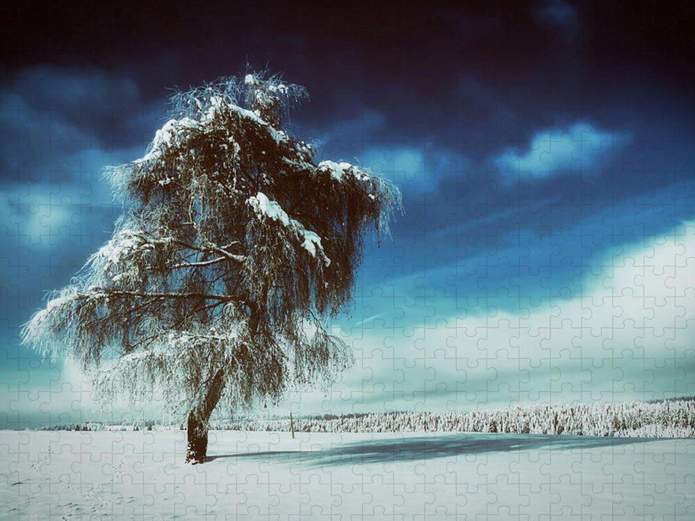 Tree Jigsaw Puzzle featuring the photograph Standing Tall In Winter by Mountain Dreams