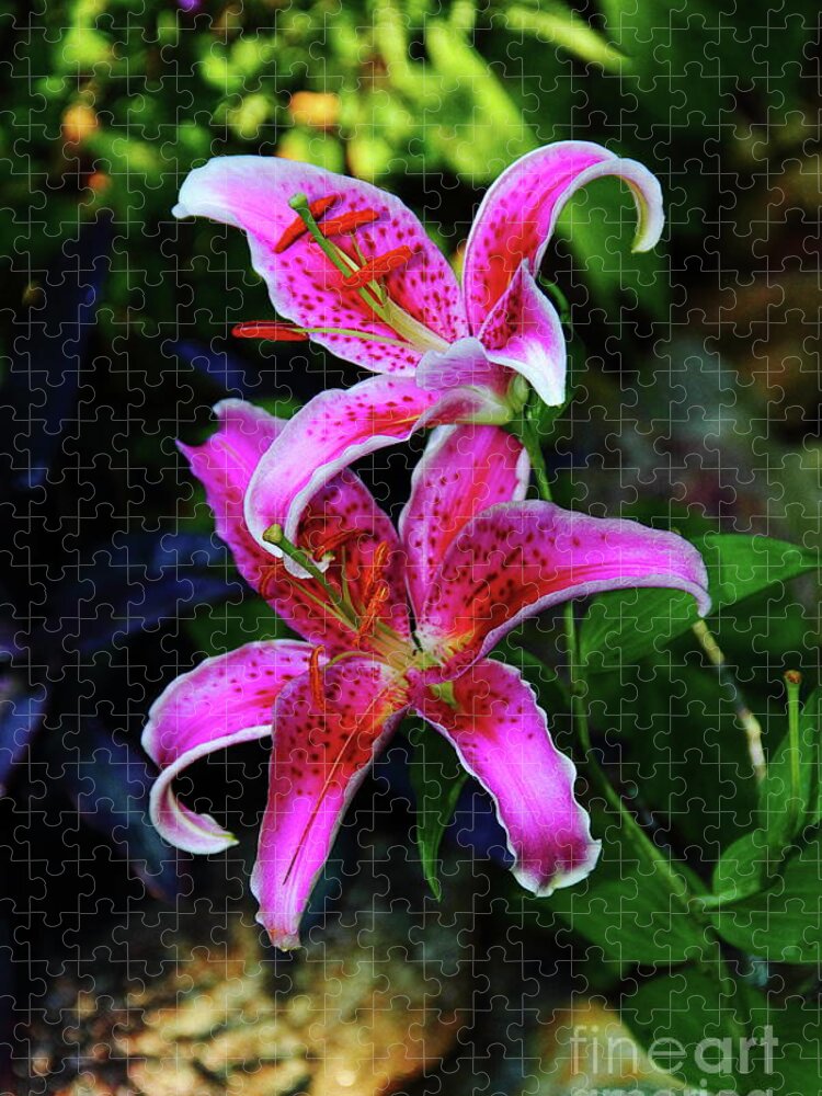 Flower Jigsaw Puzzle featuring the photograph Stargazer Lily by Allen Nice-Webb