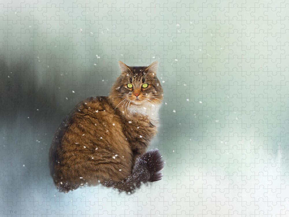 Theresa Tahara Jigsaw Puzzle featuring the photograph Starting To Snow Again by Theresa Tahara