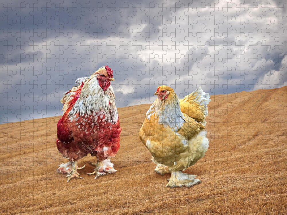 Red Rooster Jigsaw Puzzle featuring the photograph Stepping Out - Red Rooster by Gill Billington