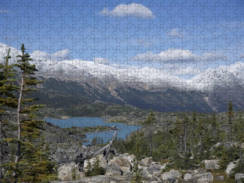 Stikine Mountains Jigsaw Puzzle featuring the photograph Stikine Mountains 14 by Richard J Cassato