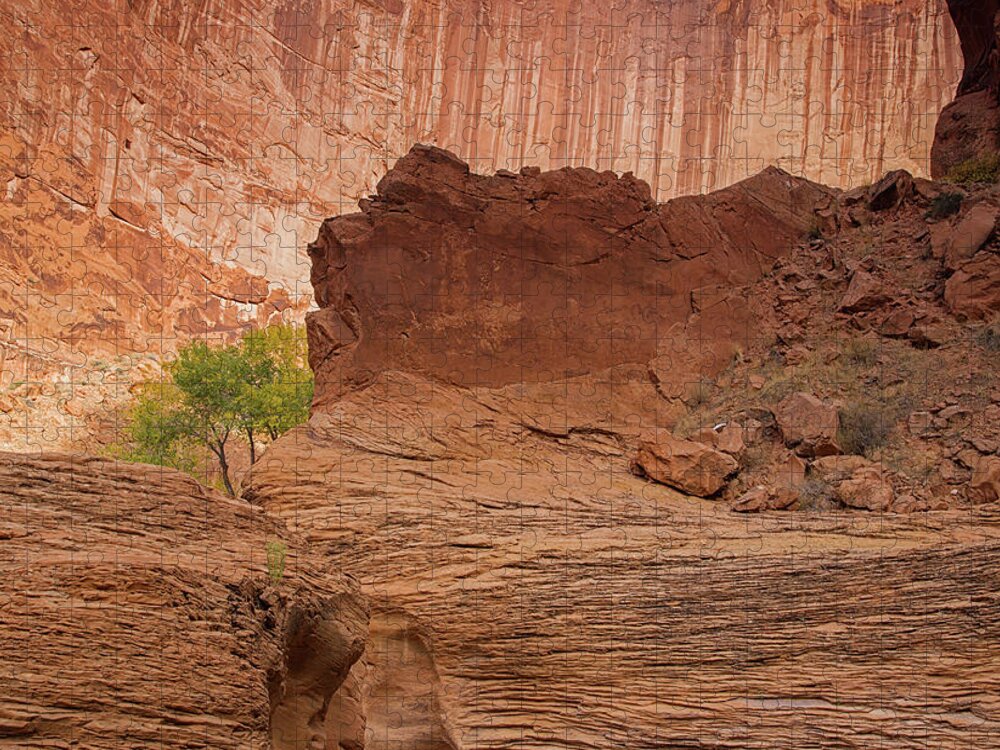 Coyote Gulch Jigsaw Puzzle featuring the photograph Still here with you by Kunal Mehra