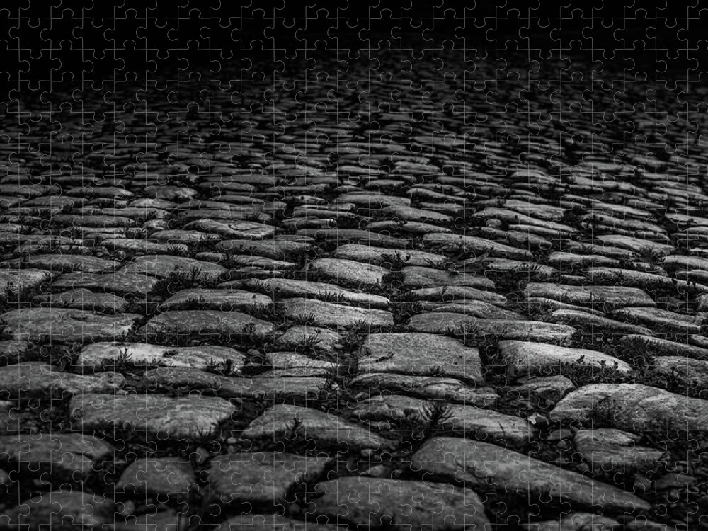 Buford Jigsaw Puzzle featuring the photograph Stone Path by Doug Camara