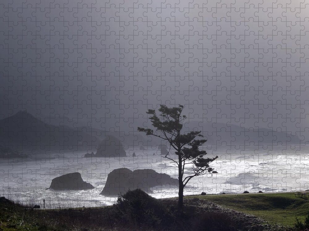 Pacific Ocean Jigsaw Puzzle featuring the photograph Stormy Beach by Cathy Anderson