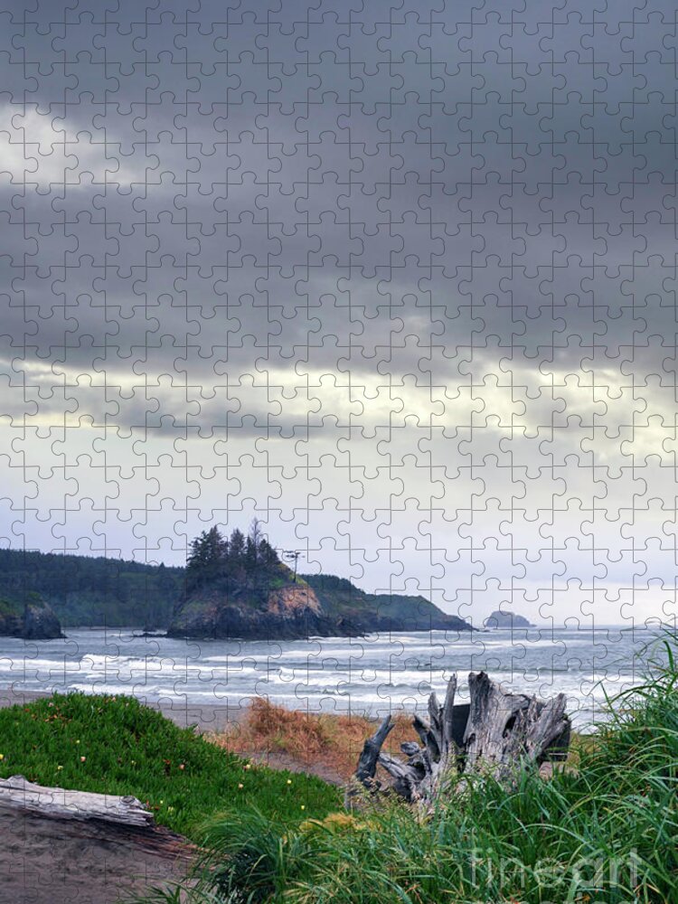 Storm Jigsaw Puzzle featuring the photograph Stormy Beach by Jill Battaglia
