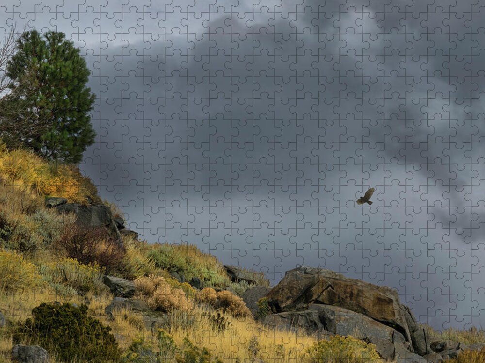 Hawk Jigsaw Puzzle featuring the photograph Stormy Flight by Frank Wilson
