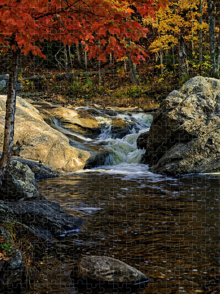 Autumn Jigsaw Puzzle featuring the photograph Stream In Autumn No.17 by Mark Myhaver