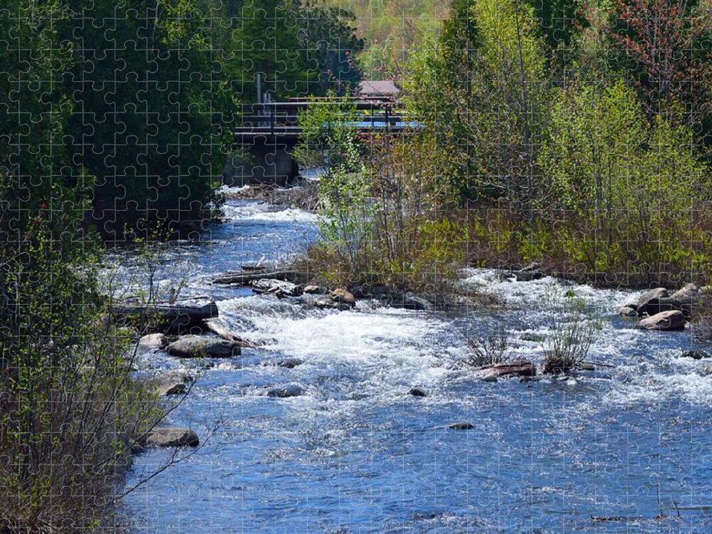 Outdoors Jigsaw Puzzle featuring the photograph Stream in Spring by David Porteus