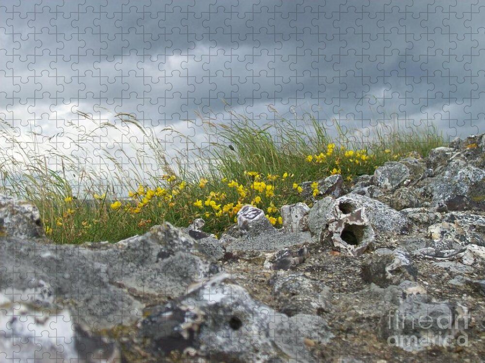 Old Jigsaw Puzzle featuring the photograph Striking Ruins by Mary Mikawoz