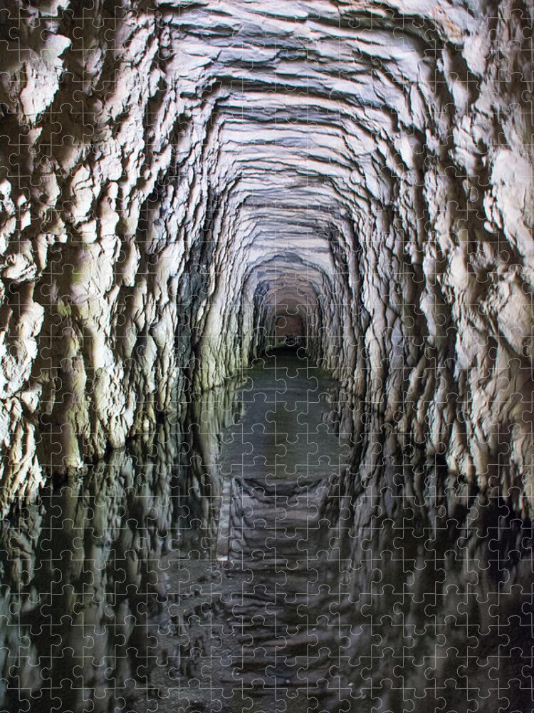 Tunnel Jigsaw Puzzle featuring the photograph Stumphouse Mountain Tunnel by John Black