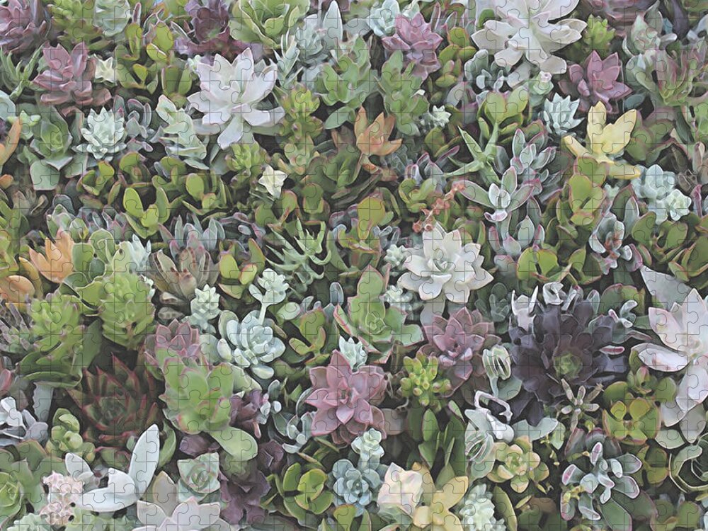 Succulents Jigsaw Puzzle featuring the digital art Succulent 8 by David Hansen