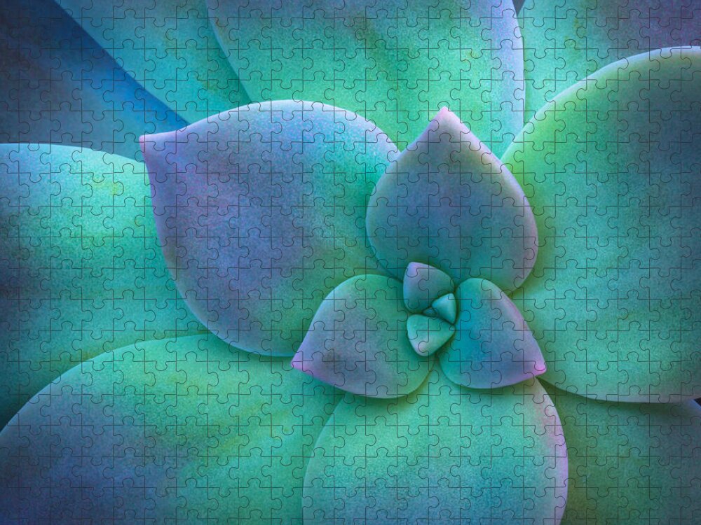 Succulent Jigsaw Puzzle featuring the photograph Succulent by Christopher Johnson