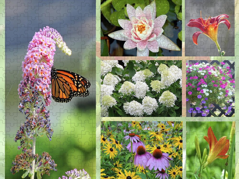 Flowers Jigsaw Puzzle featuring the photograph Summer Collage by Geraldine Alexander