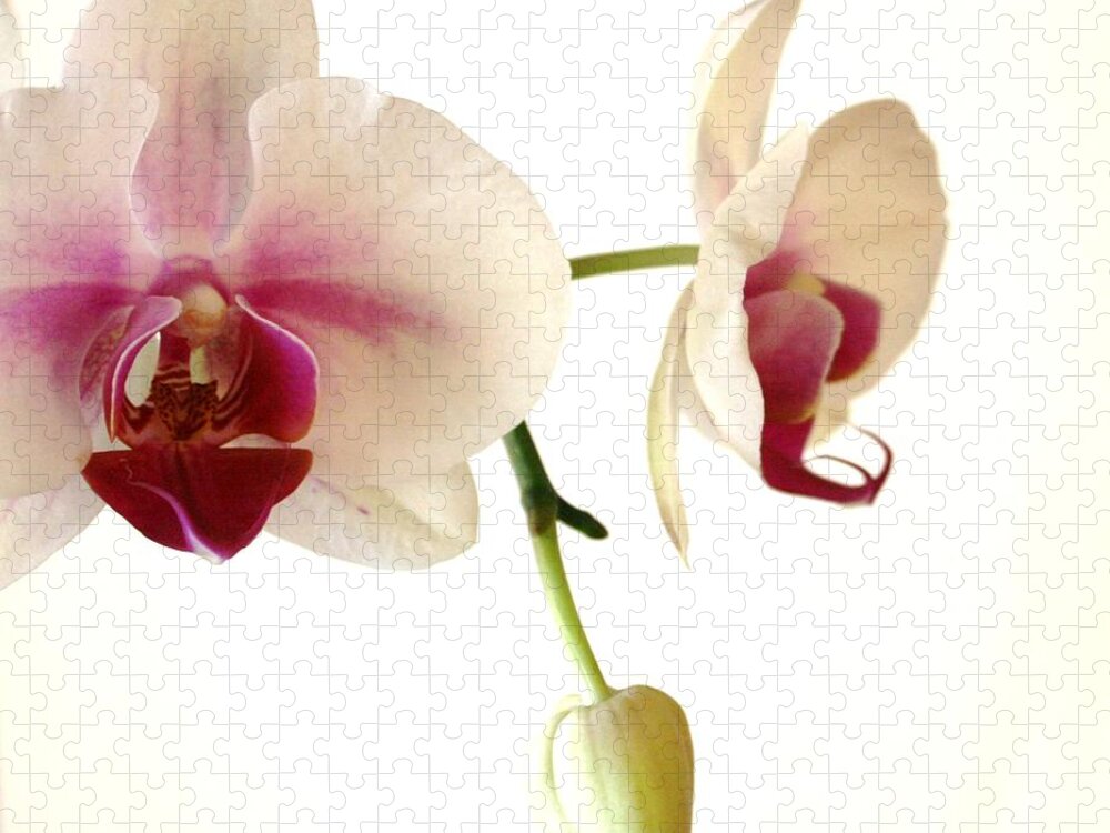 White Jigsaw Puzzle featuring the photograph Summer Orchids by Marna Edwards Flavell