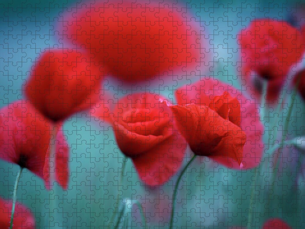 Poppy Jigsaw Puzzle featuring the photograph Summer Poppy Meadow 3 by Nailia Schwarz