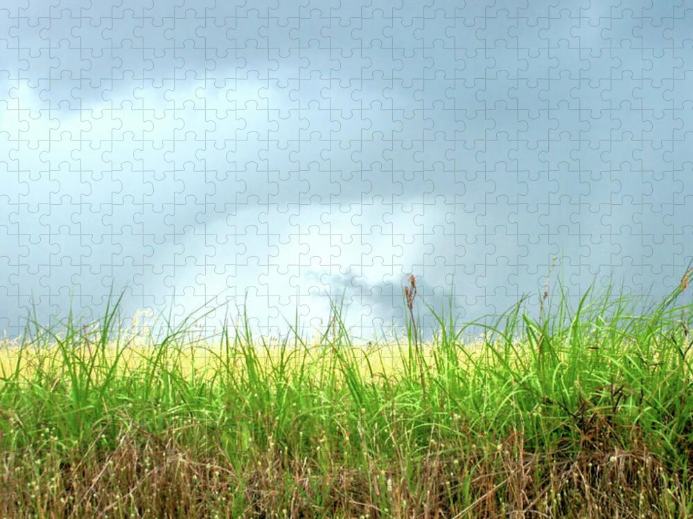 Summer Jigsaw Puzzle featuring the photograph Summer Storm by Cathy Harper