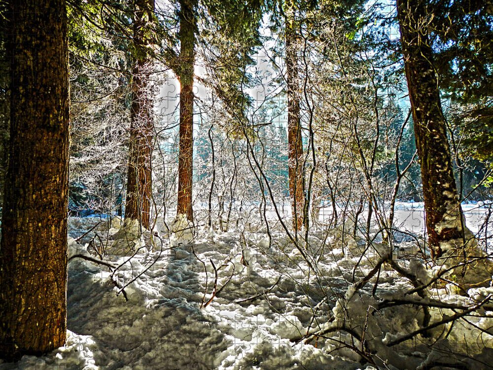 Tree Jigsaw Puzzle featuring the photograph Sun Shinning Through Trees by Pelo Blanco Photo