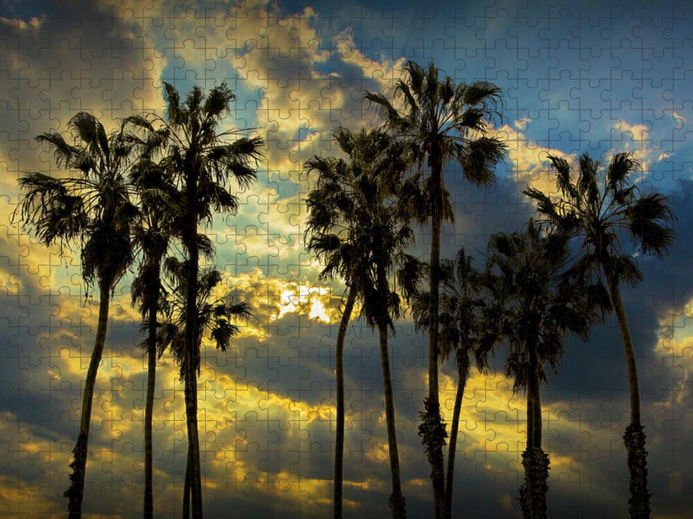 Tree Jigsaw Puzzle featuring the photograph Sunbeams and Palm Trees by Cabrillo Beach by Randall Nyhof