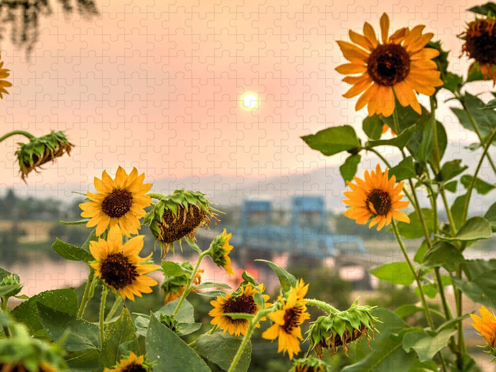 Sunflower Jigsaw Puzzle featuring the photograph Sunflower Blue Bridge by Brad Stinson