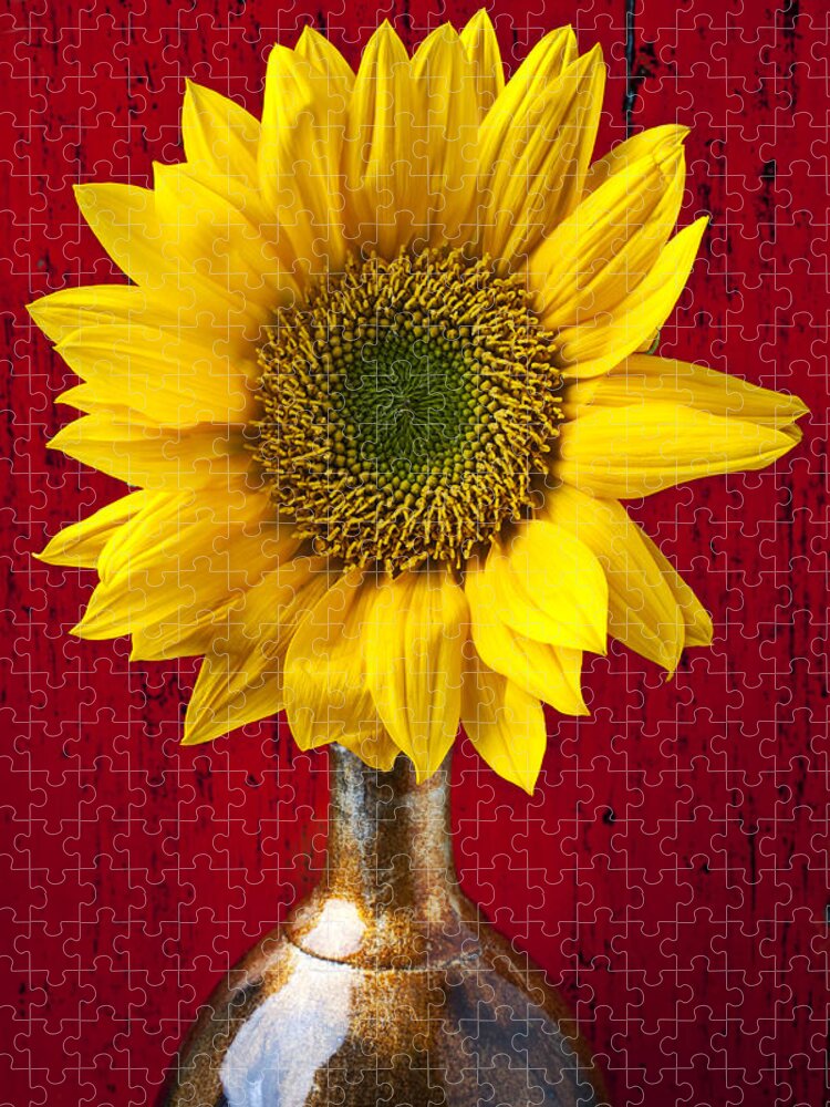 Sunflower Close Up Jigsaw Puzzle featuring the photograph Sunflower Close Up by Garry Gay