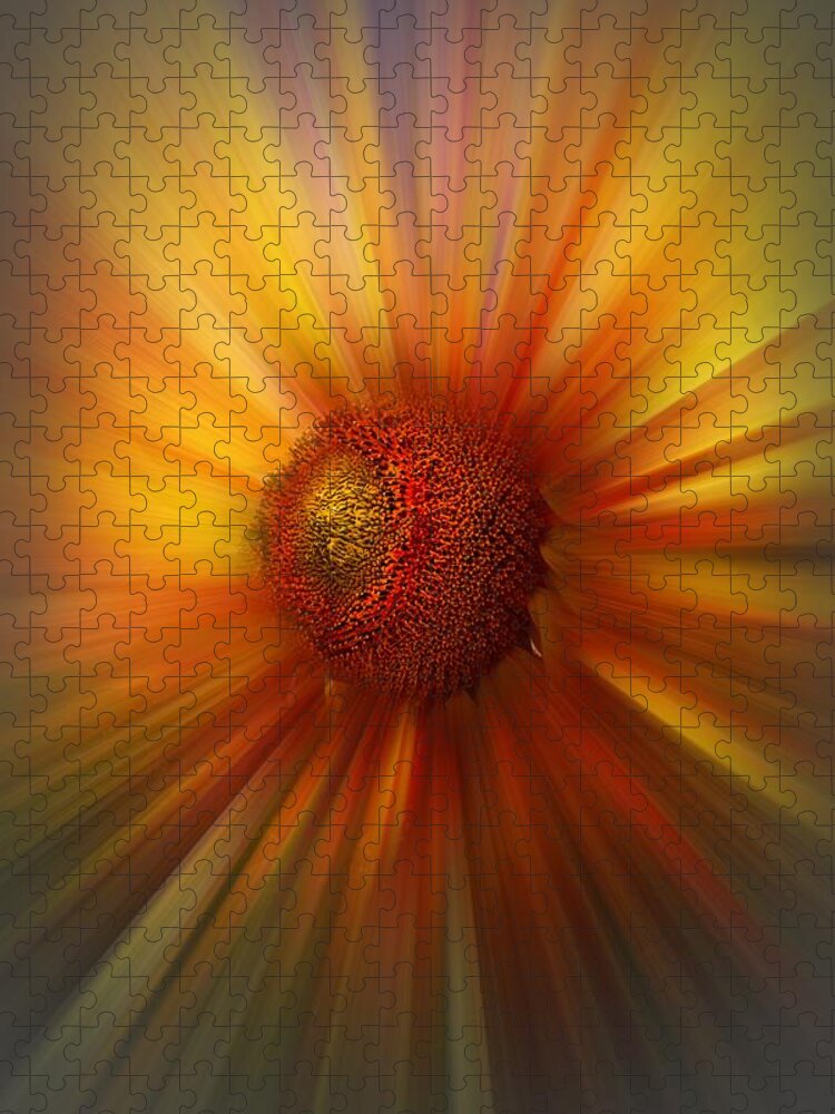 Abstract Jigsaw Puzzle featuring the photograph Sunflower Dawn Zoom by Debra and Dave Vanderlaan