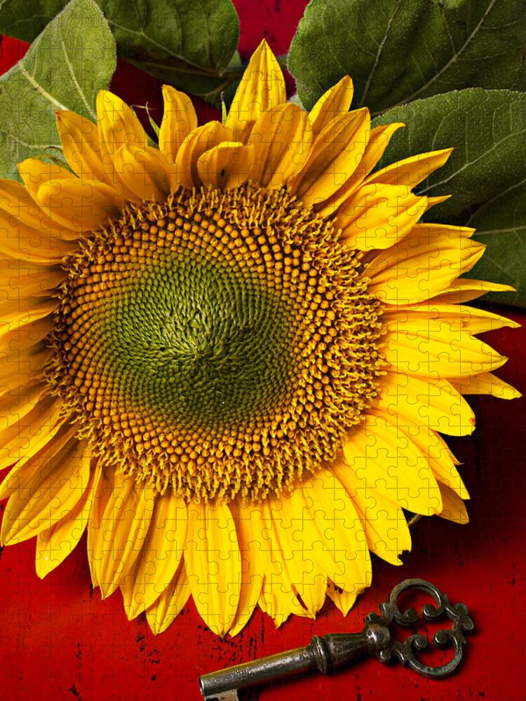 Sunflower Jigsaw Puzzle featuring the photograph Sunflower with old key by Garry Gay