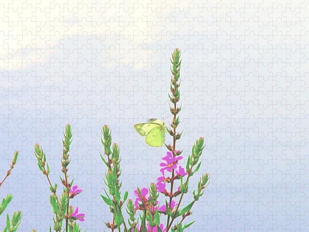 Butterfly Jigsaw Puzzle featuring the digital art Sunny Day by Cliff Wilson