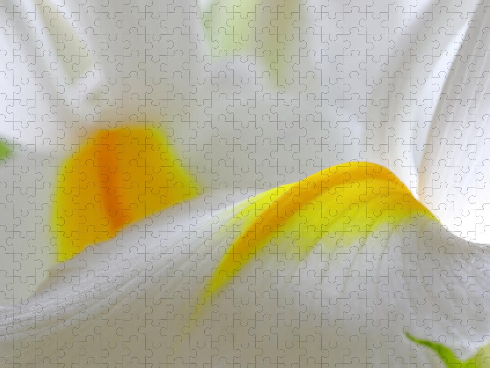 Abstract Flower Photography Jigsaw Puzzle featuring the photograph Sunny Side Up by Juergen Roth