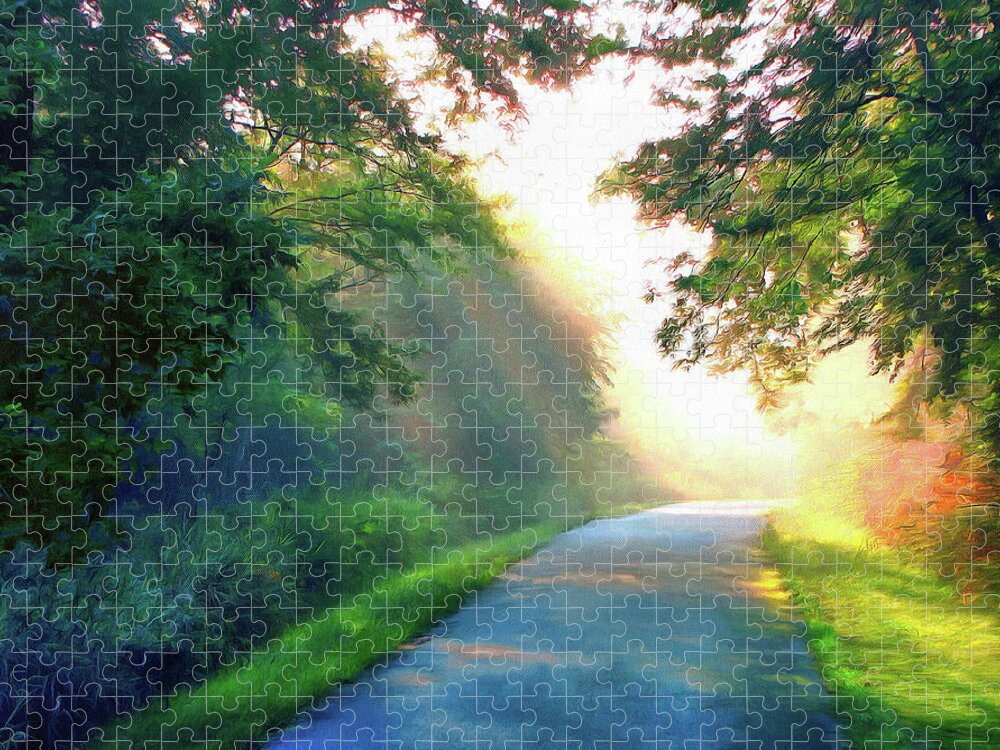 Sunny Trail Jigsaw Puzzle featuring the photograph Sunny Trail by Cedric Hampton