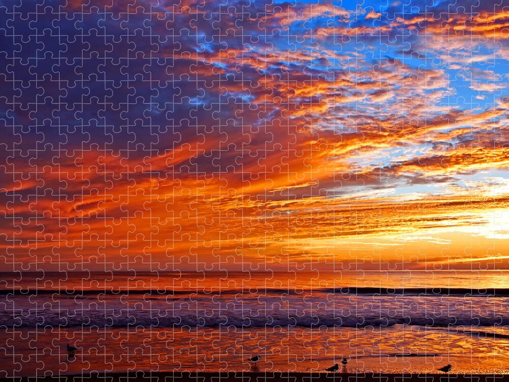 Dawn Jigsaw Puzzle featuring the photograph Sunrise and seagulls by Bill Jonscher