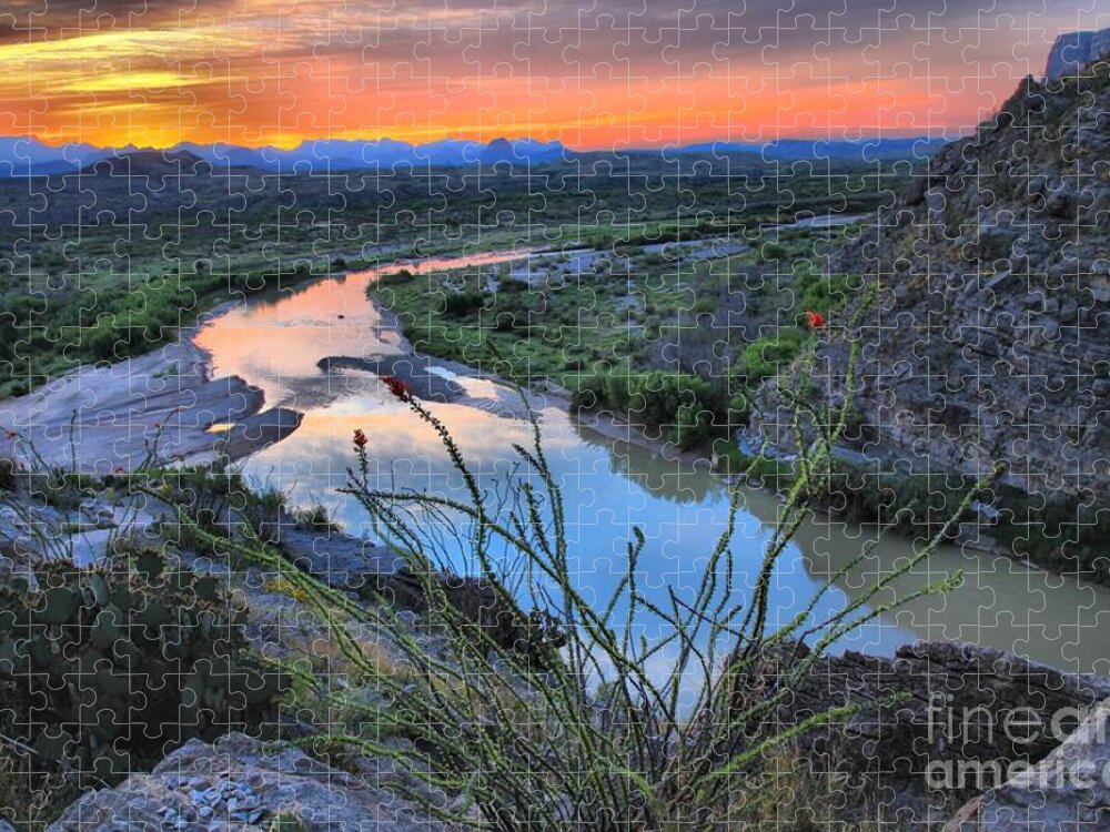 Santa Elena Jigsaw Puzzle featuring the photograph Sunrise Over The Ocatillo by Adam Jewell
