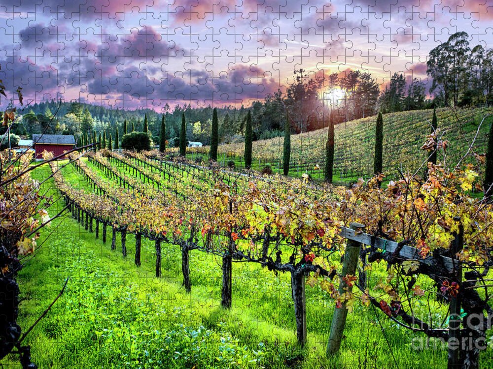 Napa Jigsaw Puzzle featuring the photograph Sunset at the Palmers by Jon Neidert
