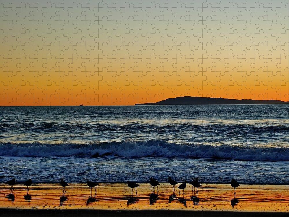  Jigsaw Puzzle featuring the photograph Sunset Bird Reflections by Liz Vernand