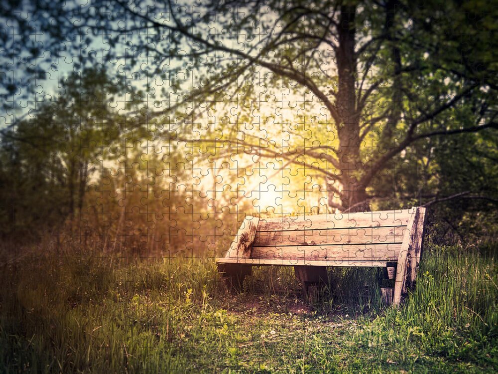 Landscape Jigsaw Puzzle featuring the photograph Sunset on a Wooden Bench by Scott Norris
