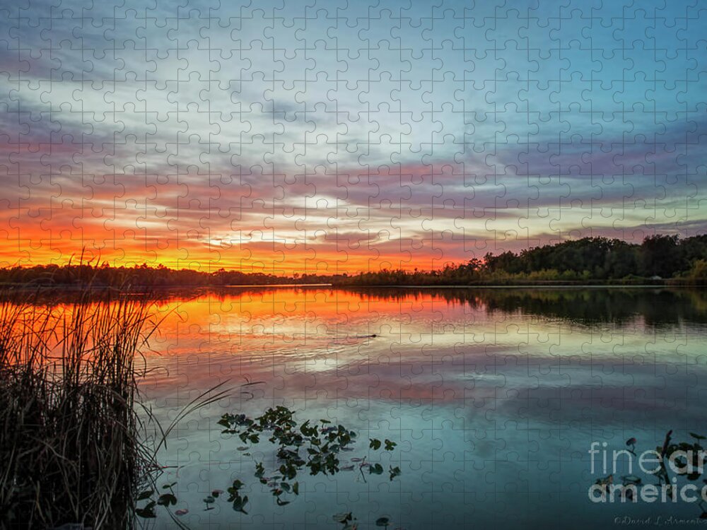 Muskrat Jigsaw Puzzle featuring the photograph Sunset with Muskrat by David Arment