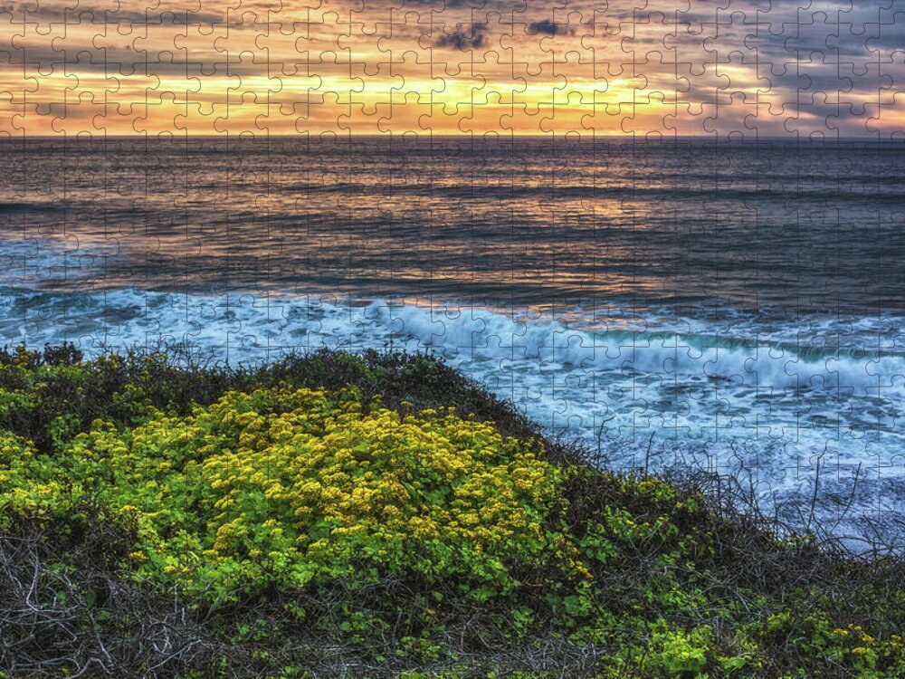 Flowers Jigsaw Puzzle featuring the photograph Surf and Turf by Jason Roberts