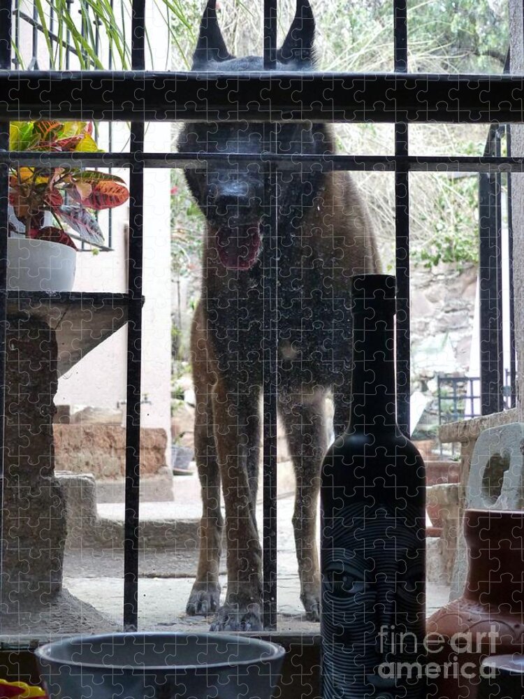 The Malinois Jigsaw Puzzle featuring the photograph Surprise Visitor by Rosanne Licciardi