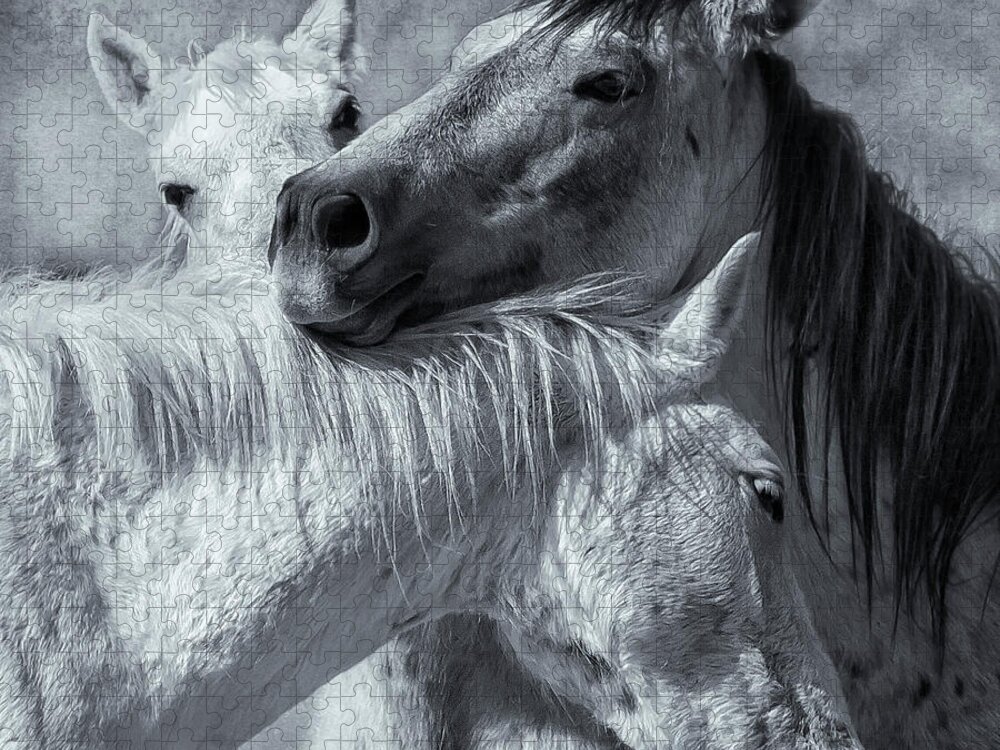 Wild Horses Jigsaw Puzzle featuring the photograph Surrounded by Love BW by Belinda Greb