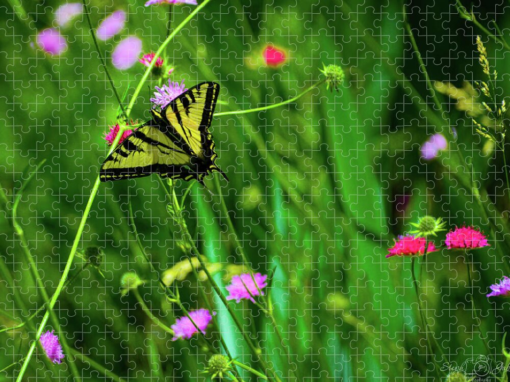 Butterfly Jigsaw Puzzle featuring the photograph Swallowtail Butterfly by Steph Gabler