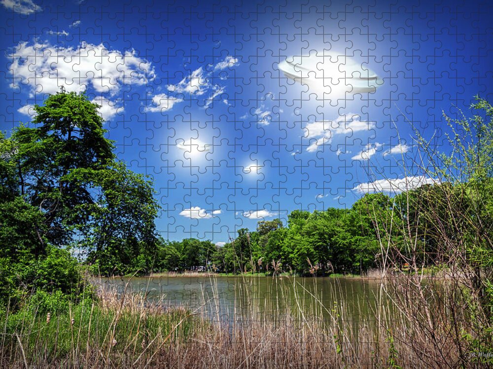 2d Jigsaw Puzzle featuring the photograph Swamp Gas by Brian Wallace