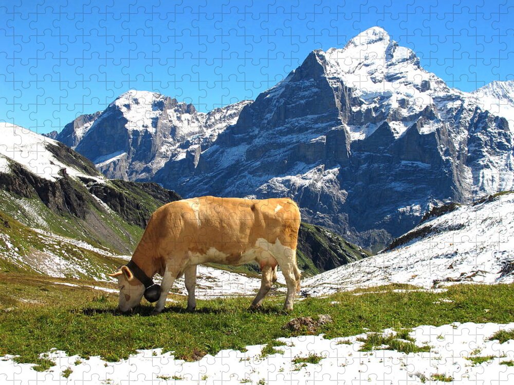 Switzerland Jigsaw Puzzle featuring the photograph Swiss Scene by Mary Ellen Mueller Legault