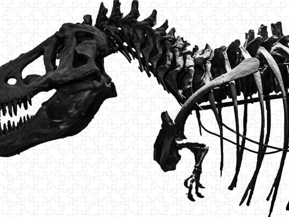 Trex Jigsaw Puzzle featuring the photograph T-Rex by Martin Newman