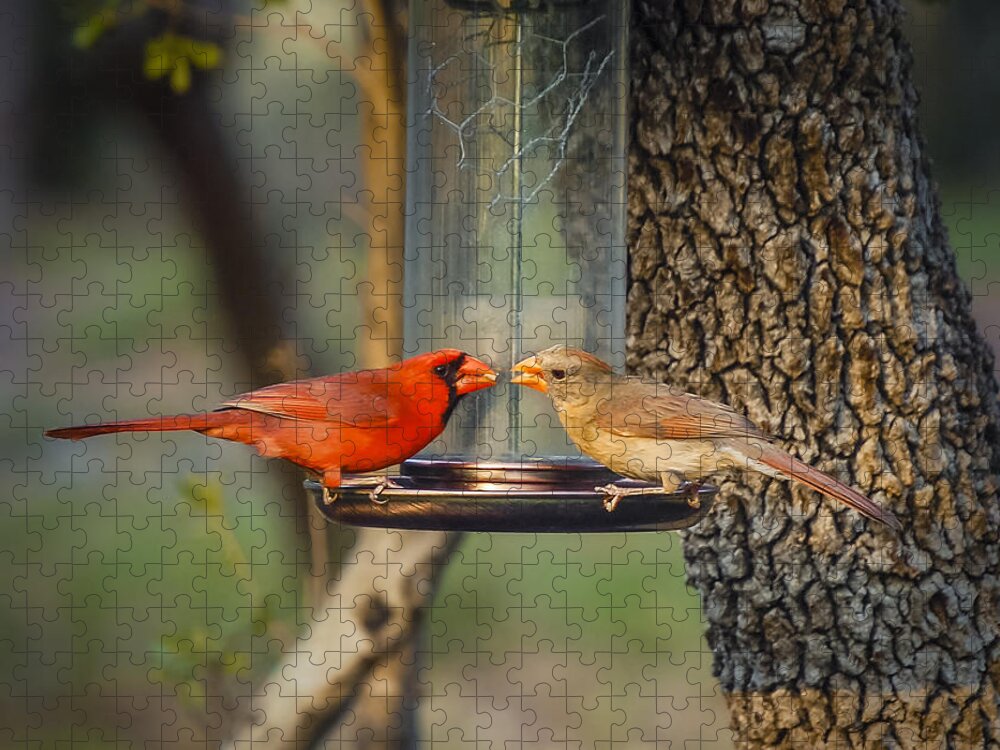 Cardinals Jigsaw Puzzle featuring the photograph Table for Two by Debbie Karnes