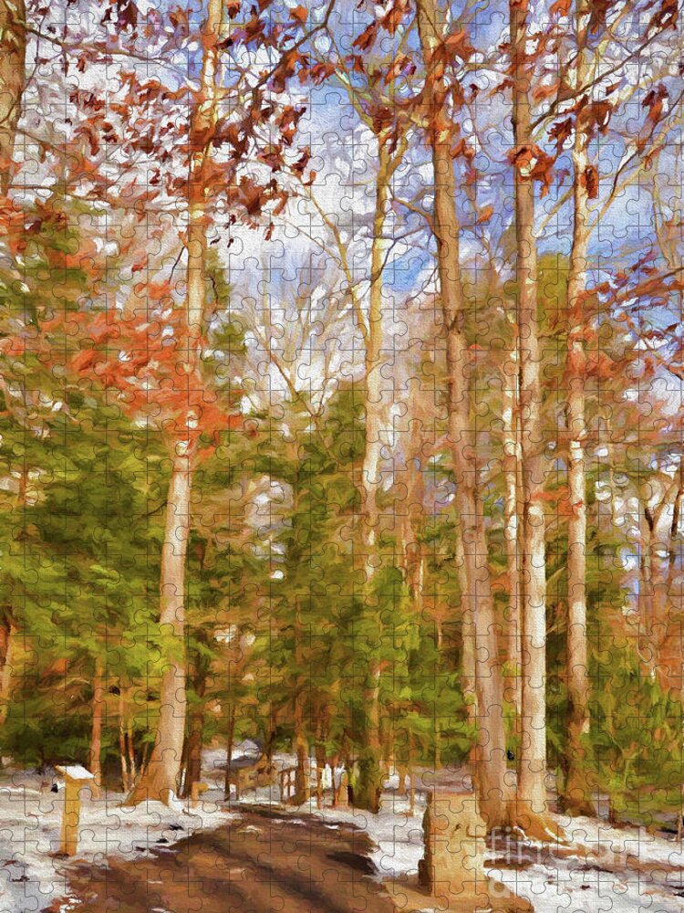 Tree Art Jigsaw Puzzle featuring the photograph Tall Trees in Winter by Kerri Farley